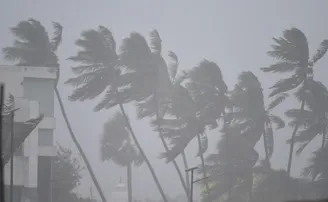 ସମ୍ଭାବ୍ୟ ବାତ୍ୟା: ୨୪ ସନ୍ଧ୍ୟାରୁ ଉପକୂଳ ଜିଲ୍ଲାରେ ଝଡ଼ପବନ