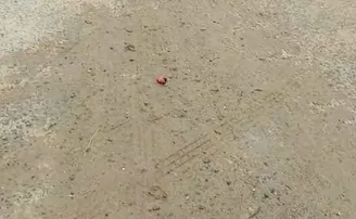 କାର୍‌ରେ ଥିଲେ ୪ ଯୁବକ, ହଠାତ ଫୁଟିଲା ଗୁଳି