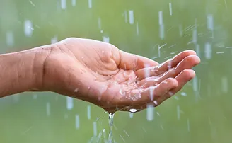 ସାବଧାନ୍! ସ୍ୱାସ୍ଥ୍ୟ ପାଇଁ ବର୍ଷା ଋତୁ ଅଧିକ ଘାତକ