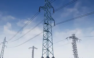 ୬୦ ଫୁଟ୍ ଇଲେକ୍ଟ୍ରିକ୍ ଟାୱାର ଉପରକୁ ଚଢ଼ିଗଲେ ମହିଳା