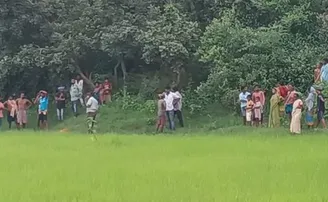 ମଇଁଷି ଚରାଇବାକୁ ଯାଇଥିଲେ, ଆଉ ଫେରିଲେନି