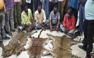 କଳାହାଣ୍ଡି ଜିଲ୍ଲାରେ ବାଘ ଛାଲ ରାକେଟ