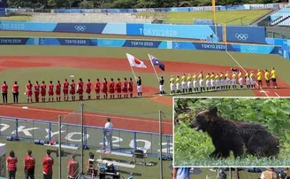 ଅଲିମ୍ପିକ୍ ଷ୍ଟାଡିୟମରେ ପଶିଲା ଭାଲୁ