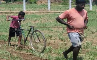 ଅଣ୍ଟିରେ ଧନ ନାହିଁ, ବଳଦ ଜାଗାରେ ସାଇକେଲରେ ହେଉଛି ହଳ