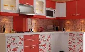 ଘରେ କରୁଛନ୍ତି କି ମୋଡୁଲାର କିଚେନ; ଜାଣନ୍ତୁ, ବାସ୍ତୁ ଅନୁଯାୟୀ କେଉଁ କଲର ହେବ ପରଫେକ୍ଟ