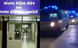 ଶୋଇଥିବା ବେଳେ ଚଢ଼ିଗଲା ଟ୍ରକ୍‌, ୮ ମୃତ