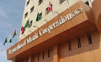 ଜମ୍ମୁ କଶ୍ମୀର ପ୍ରସଙ୍ଗରେ ଓଆଇସିକୁ ଭାରତର କଡ଼ା ଜବାବ