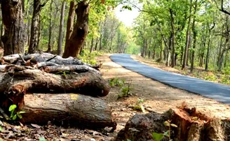 ରାସ୍ତା ଚଉଡ଼ା ହେବ, ଗଛ କଟିବନି