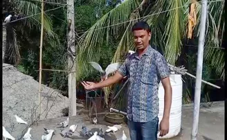 ପକ୍ଷୀଙ୍କ ପ୍ରେମରେ ବିଦ୍ୟାଧର