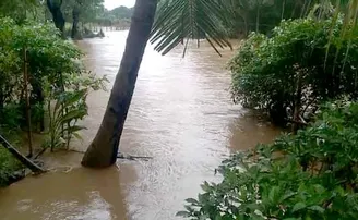 ବ୍ରାହ୍ମଣୀ ନଦୀରେ ବନ୍ୟା, ଯାଜପୁର ଜିଲ୍ଲାରେ ୩ଟି ସ୍ଥାନରେ ଘାଇ