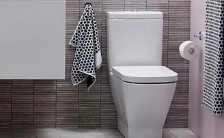 ପାଇଖାନା କେଉଁ ଦିଗରେ ରହିବା ଉଚିତ୍? ଭୁଲ ଦିଗରେ ରହିଲେ କ’ଣ ହୁଏ ସମସ୍ୟା?