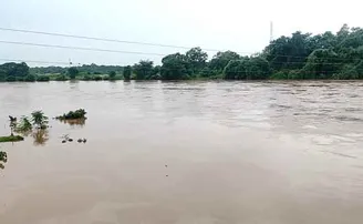 ବିପଦ ସଂକେତ ଉପରେ ବୈତରଣୀ