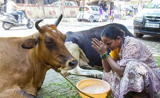 ଗୋମାତା ଓ ଗୋବର ବୁଦ୍ଧି