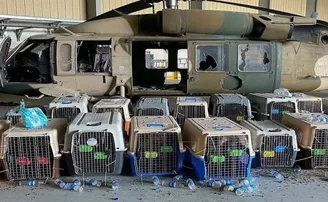 ଚାଲିଗଲେ ଆମେରିକା ସେନା, ଛାଡ଼ିଗଲେ କୁକୁର