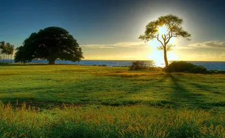 ଜରୁରୀ ହେଲାଣି ପ୍ରକୃତି ସହ ଶାନ୍ତି ସ୍ଥାପନ