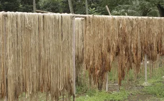 ମିଳୁନି ପ୍ରୋତ୍ସାହନ, ଚିନ୍ତାରେ ଝୋଟ ଚାଷୀ