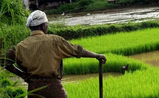 ପରିମାର୍ଜିତ କୃଷି ଆଇନ ଆସିବା ଦରକାର