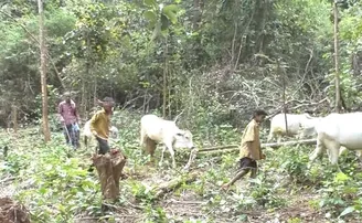 ଖୋର୍ଦ୍ଧା ଜିଲ୍ଲାର ଗାଁ- ରାସ୍ତା ନାହିଁ, ଲାଇନ୍‌ ନାହିଁ, ଅନ୍ୟ ସୁବିଧା ବି ସାତସପନ