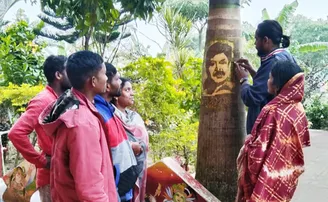 ଗଛରେ ଛାପି ହୋଇ ରହିଲେ ମିହିର