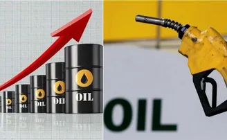 ଭାରତରେ ବଢ଼ିବ କି ପେଟ୍ରୋଲ ଓ ଡିଜେଲ ଦର? ଜବାବ ରଖିଲେ କେନ୍ଦ୍ରମନ୍ତ୍ରୀ