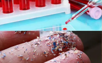 ପ୍ରଥମଥର ପାଇଁ ମଣିଷମାନଙ୍କ ରକ୍ତରୁ ମିଳିଲା ମାଇକ୍ରୋ ପ୍ଲାଷ୍ଟିକ