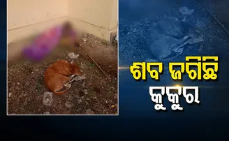 ମାଲିକ ମରିଗଲା ପରେ...