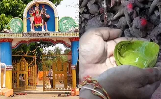 ମାଆ ଭୈରବୀଙ୍କ ପାଖରେ ପ୍ରସାଦ ରୂପେ ଲାଗୁଛି ଦେଶୀ ଓ ବିଦେଶୀ ମଦ