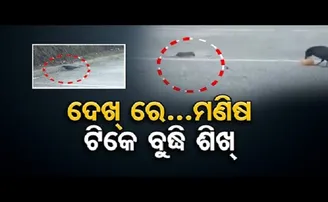 ଦେଖରେ ମଣିଷ ଟିକେ ବୁଦ୍ଧି ଶିଖ...