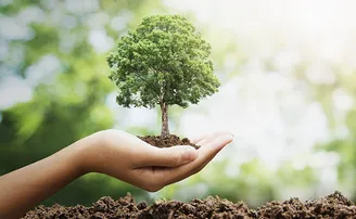 ବାତ୍ୟାର ସ୍ଥାୟୀ ସମାଧାନ- ଏକ ଜୀବନ, ପାଞ୍ଚ ବୃକ୍ଷ!