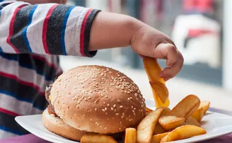 ଶିଶୁ ମେଦବହୁଳତା ଏବଂ ଇଲେକ୍ଟ୍ରୋନିକ୍ସ ଉପକରଣ