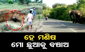 ହେ ମଣିଷ ମୋ ଛୁଆକୁ ବଞ୍ଚାଅ