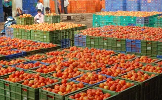 ମହଙ୍ଗା ଟମାଟୋ ଭାରି ସୁଆଦିଆ!