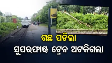 ଗଛ ପଡ଼ିବାରୁ ଅଟକିଲା ଟ୍ରେନ