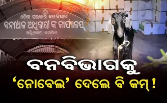 ବନ ବିଭାଗକୁ ‘ନୋବେଲ’ ଦେଲେ ବି କମ୍!