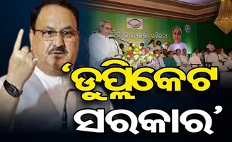 ଓଡ଼ିଶାରେ ଡୁପ୍ଲିକେଟ ସରକାର!