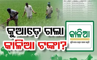 କୁଆଡ଼େ ଗଲା ମୋ କାଳିଆ ଟଙ୍କା?