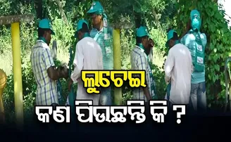 ଲୁଚେଇ ଲୁଚେଇ କଣ ପିଉଛନ୍ତି?