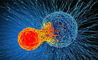 ଜାତୀୟ କର୍କଟ ସଚେତନତା ଦିବସ, ଜାଣନ୍ତୁ କିଛି ଗୁରୁତ୍ୱପୂର୍ଣ୍ଣ କଥା