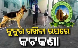 କୁକୁର ରଖିବା ଉପରେ କଟକଣା