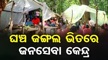 ଘଞ୍ଚ ଜଙ୍ଗଲ ଭିତରେ ଚାଲିଛି ଜନସେବା କେନ୍ଦ୍ର