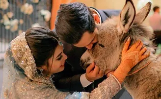 ବାହାଘର ରିସେପ୍‌ସନ୍‌ରେ ସ୍ତ୍ରୀଙ୍କୁ ଗଧ ଛୁଆ ଗିଫ୍ଟ କଲେ ସ୍ୱାମୀ