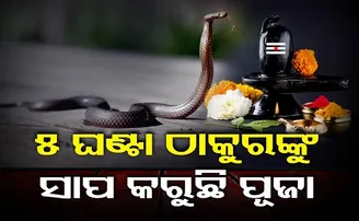 ୫ ଘଣ୍ଟା ଠାକୁରଙ୍କୁ ପୂଜା କରୁଛି ସାପ!