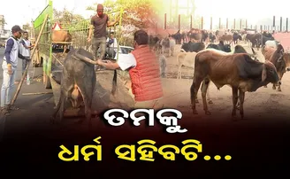 ଧର୍ମ ସହିବଟି!