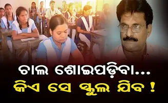 ଚାଲ ଶୋଇପଡ଼ିବା...କିଏସେ ସ୍କୁଲ ଯିବ!