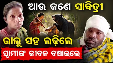 ଆଉ ଜଣେ ସାବିତ୍ରୀ, ଭାଲୁ ସହ ଲଢିଲେ, ସ୍ବାମୀଙ୍କ ଜୀବନ ବଞ୍ଚାଇଲେ || Brave Woman Battles Bear Pack || OR