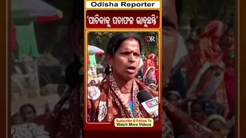 'ପାଚିକାକୁ ପଚାଫଳ ଭାବୁଛନ୍ତି' | Odisha Reporter #PachikaProtest