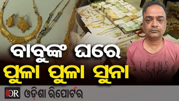 ବାବୁଙ୍କ ଘରେ ପୁଳା ପୁଳା ସୁନା | Odisha Reporter
