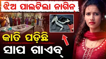 ରାତିରେ ଶୋଇଥିଲା ଝିଅ … ସକାଳୁ ସାପ ବେଶରେ ଗାଏବ୍ || UP Reena Shocking Incident || Nagin Mystery || OR