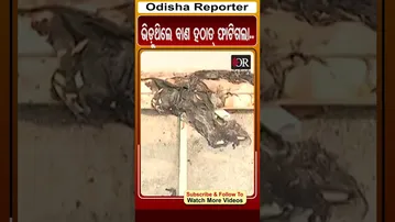ଭିଡ଼ୁଥିଲେ ବାଣ ହଠାତ୍ ଫାଟିଗଲା.. | Odisha Reporter