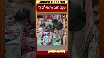 ଗୋ-ମାଫିଆ ଘରେ ଟଙ୍କାର ପାହାଡ଼ #raid #shorts #reels| Odisha Reporter